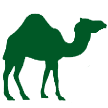 mena icon camel