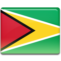 Guyana-Flag-icon.png