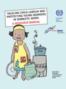 Tackling child labour and protecting young workers in domestic work - A resource manual