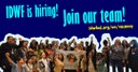 Global: IDWF is hiring - Organization Sustainability Coordinator (CLOSED) 